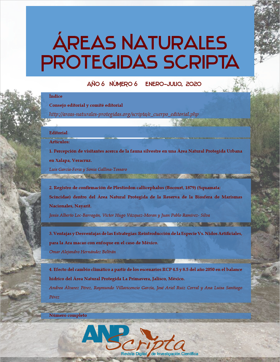 Scripta Vol.11